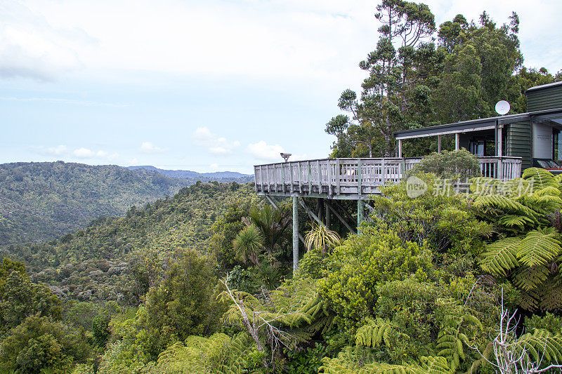 新西兰:Waitakere Ranges